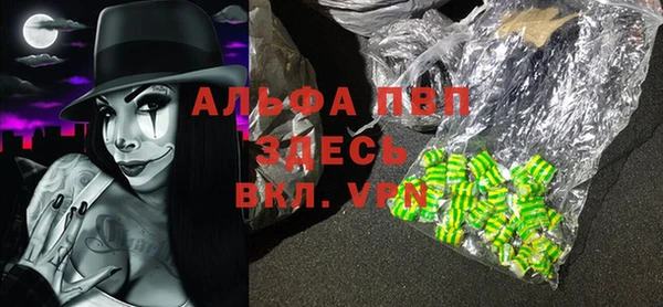 гидра Арсеньев