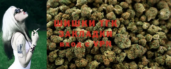 гидра Арсеньев
