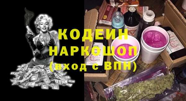 гидра Арсеньев
