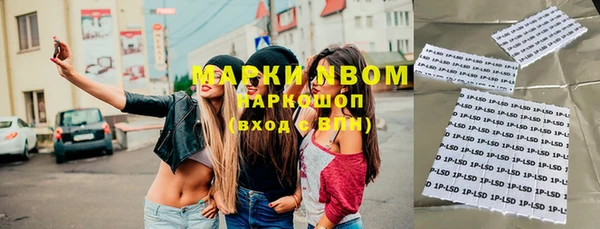 PSILOCYBIN Аркадак